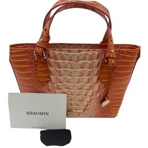 New Brahmin Misha Sherbert Ombre Melbourne Leather Satchel Bag Purse